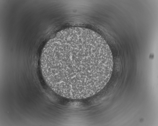 X0000116480695201001201342