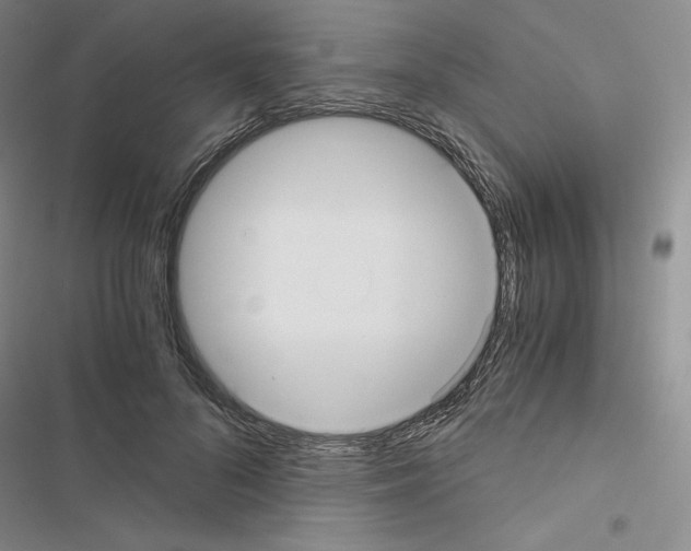 X0000116480696201001201342