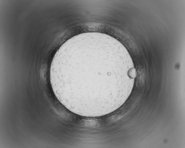 X0000116480698201001201342