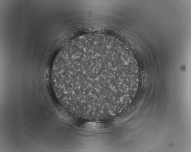 X0000116480699201001201342