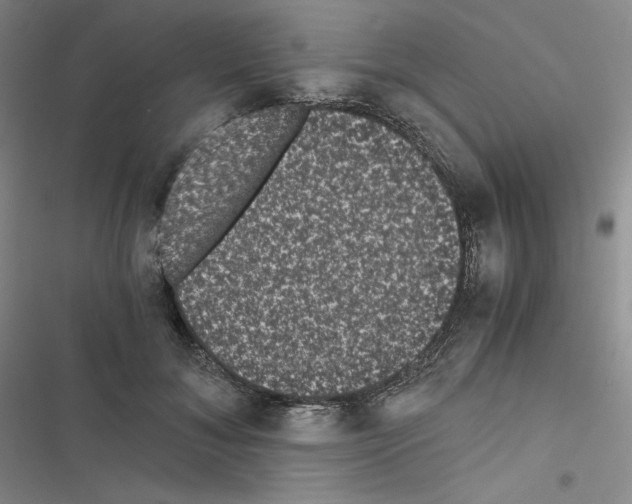 X0000116480700201001201342