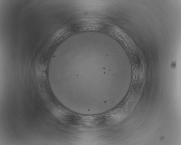 X0000116480701201001201342