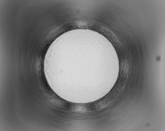 X0000116480702201001201342