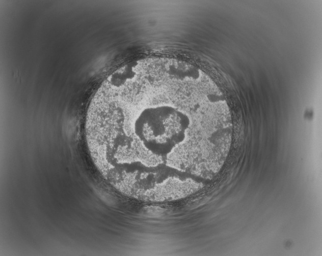 X0000116480703201001201342