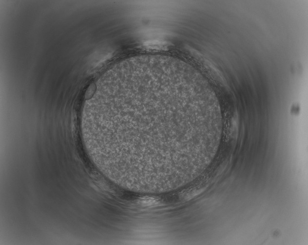 X0000116480704201001201342