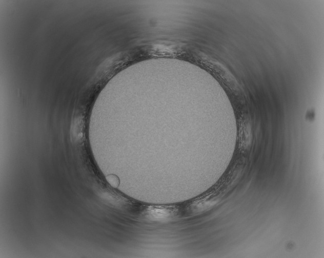 X0000116480706201001201342