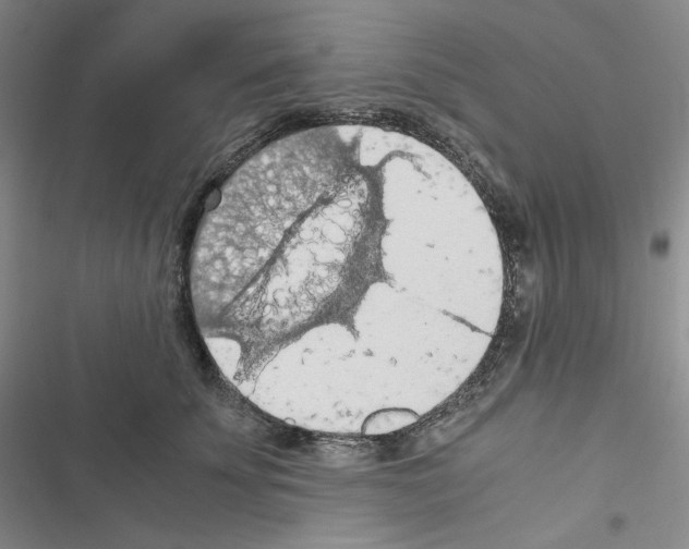 X0000116480707201001201342