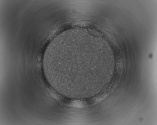 X0000116480708201001201342