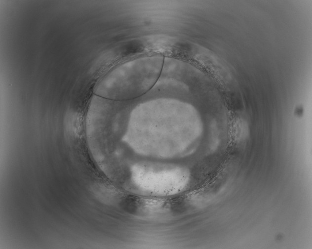 X0000116480709201001201342