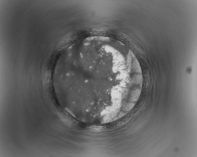 X0000116480711201001201342