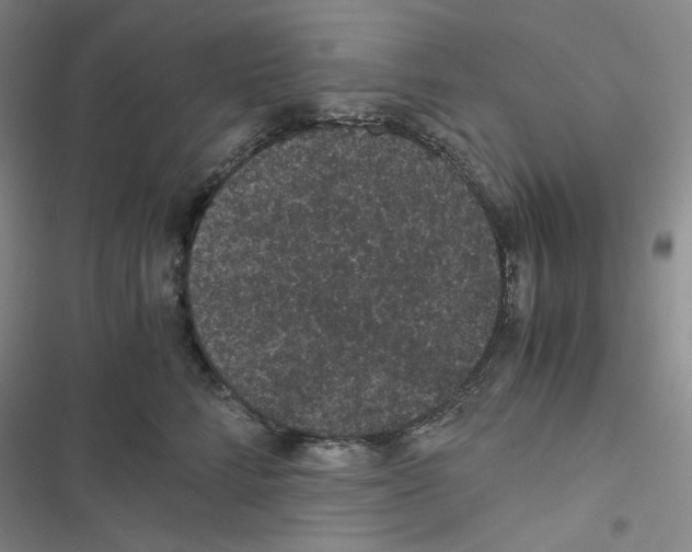 X0000116480712201001201342