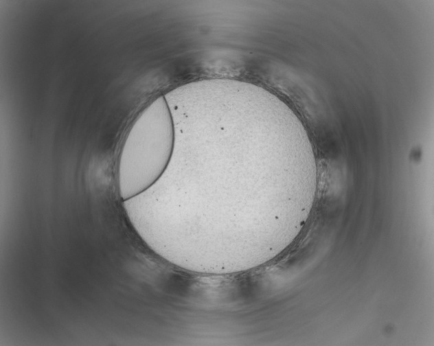 X0000116480713201001201342