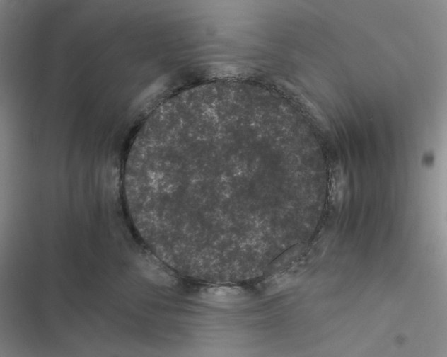 X0000116480716201001201342