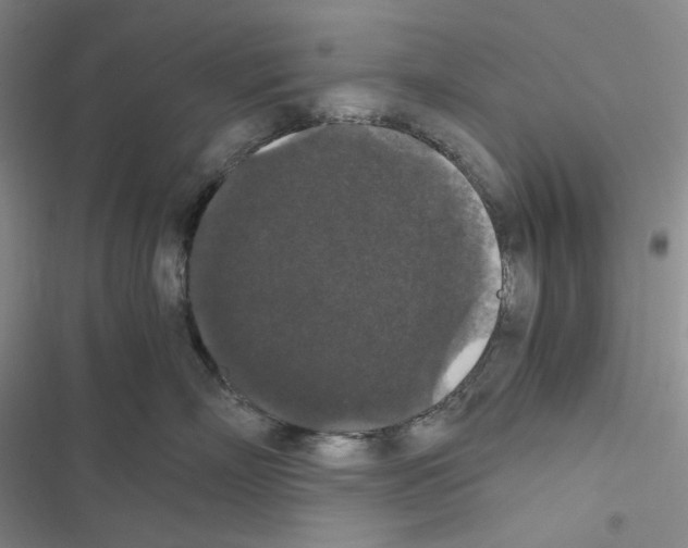 X0000116480718201001201342