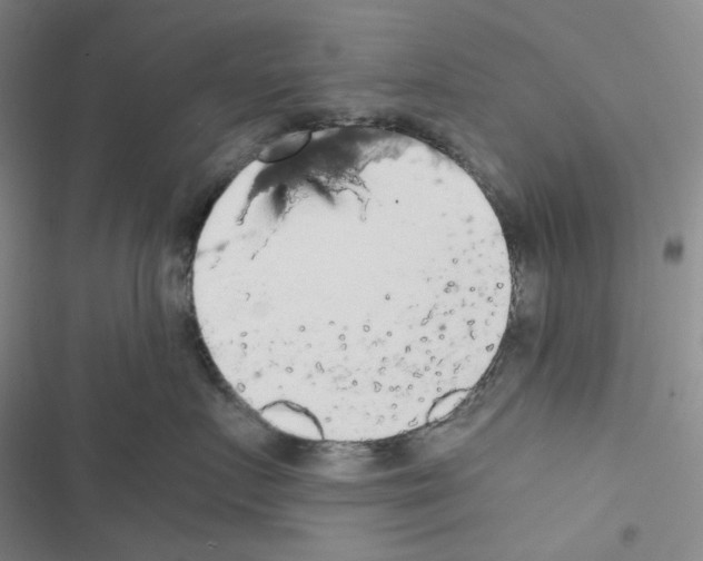 X0000116480719201001201342