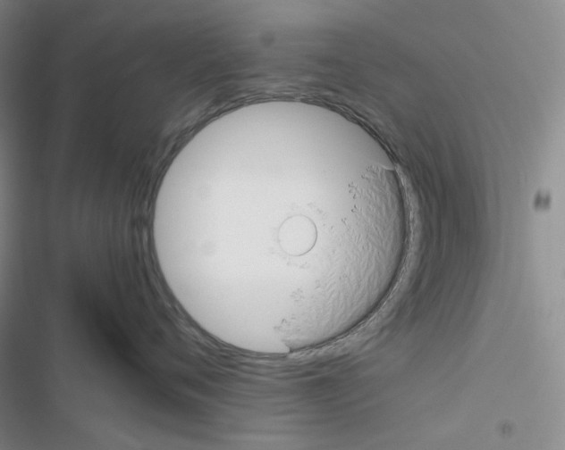 X0000116480720201001201342