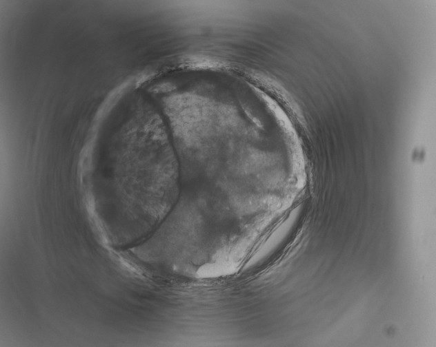 X0000116480721201001201341