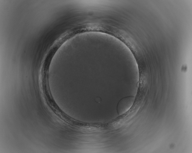 X0000116480722201001201341