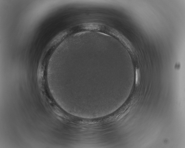 X0000116480723201001201341