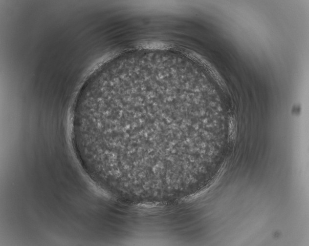 X0000116480725201001201341