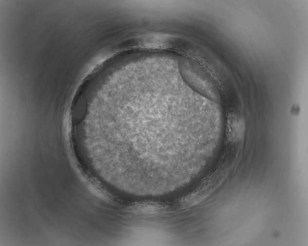 X0000116480726201001201342