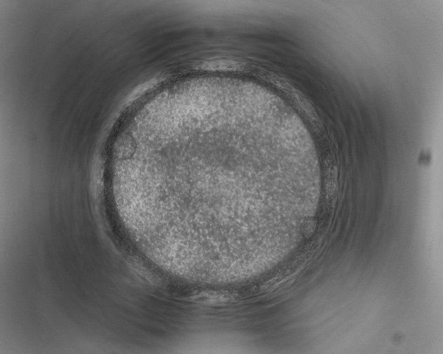 X0000116480727201001201342