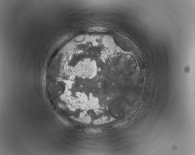 X0000116480729201001201342