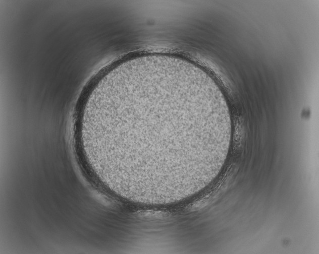 X0000116480730201001201342