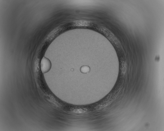 X0000116480731201001201342