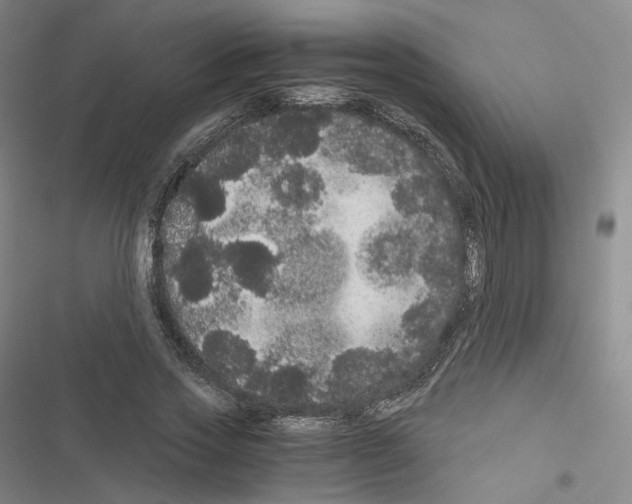 X0000116480733201001201342