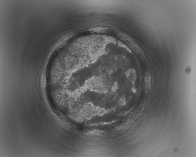 X0000116480734201001201342