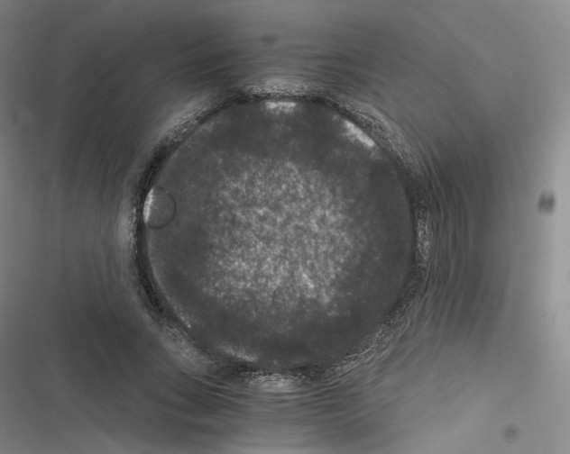 X0000116480735201001201342