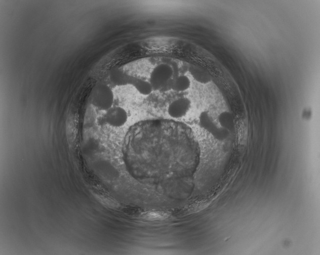 X0000116480737201001201342