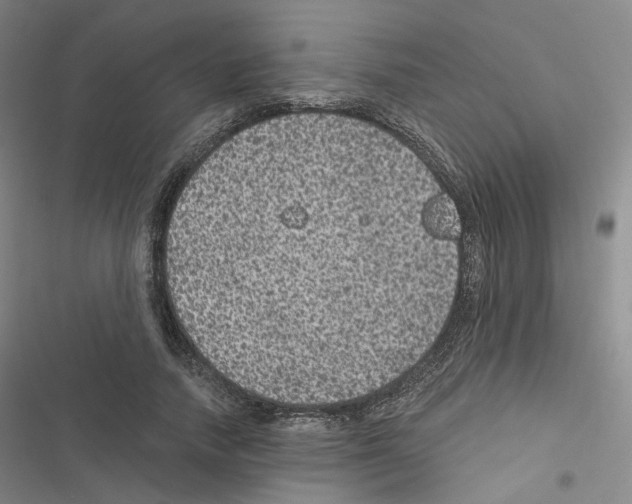 X0000116480738201001201342