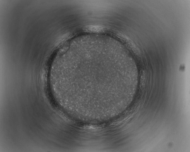 X0000116480739201001201342