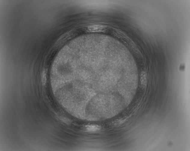 X0000116480741201001201342