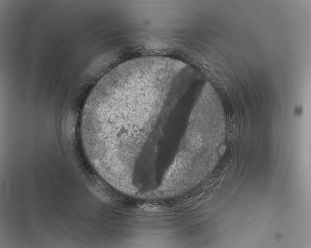 X0000116480742201001201342