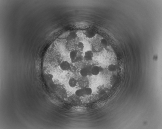 X0000116480745201001201342