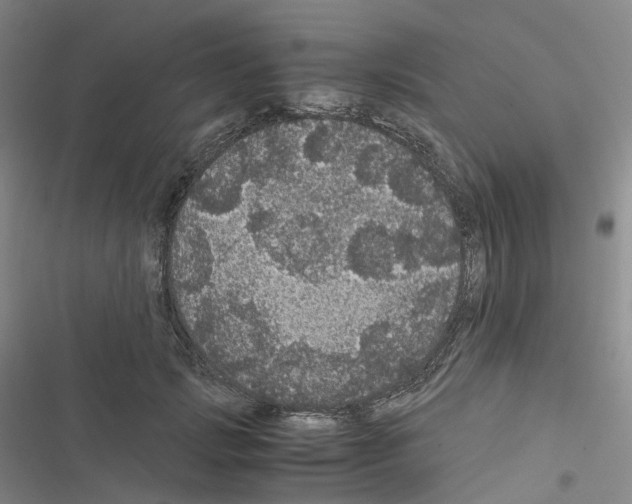 X0000116480749201001201342