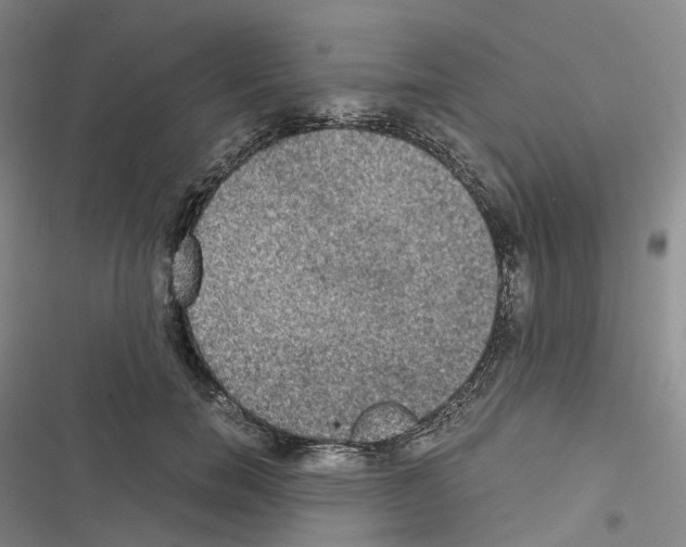 X0000116480750201001201342