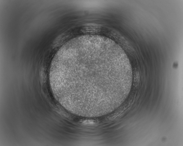 X0000116480751201001201342