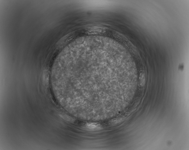 X0000116480753201001201342