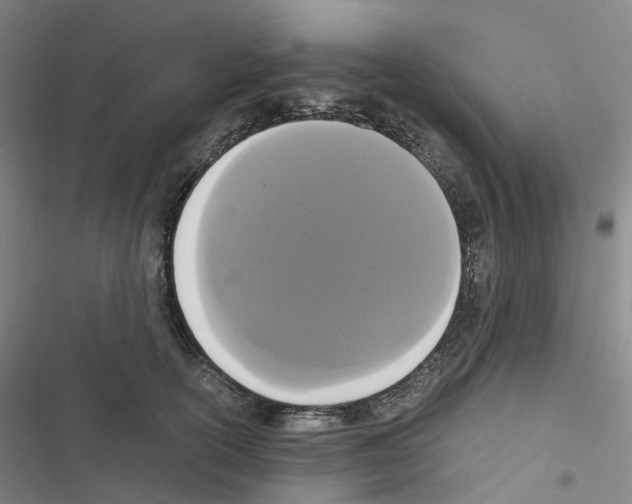 X0000116480754201001201342