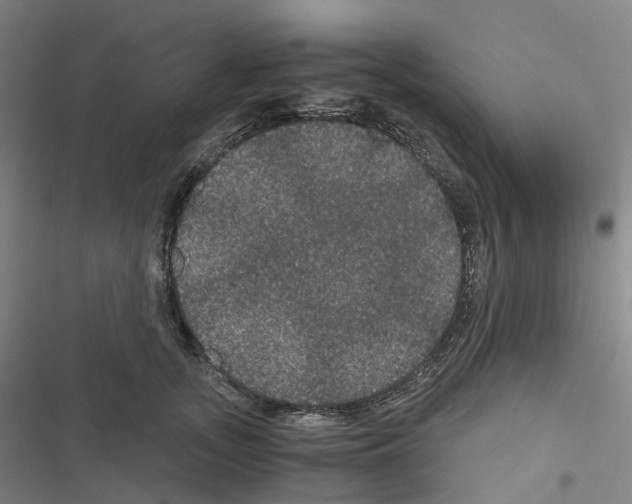 X0000116480755201001201342