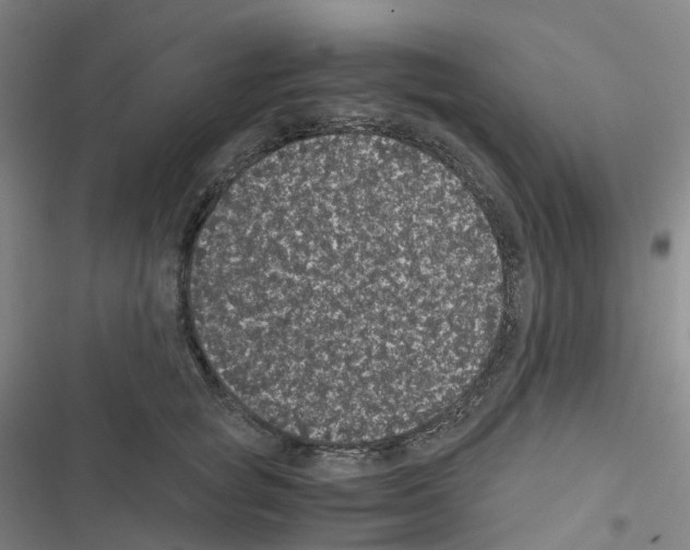 X0000116480757201001201342