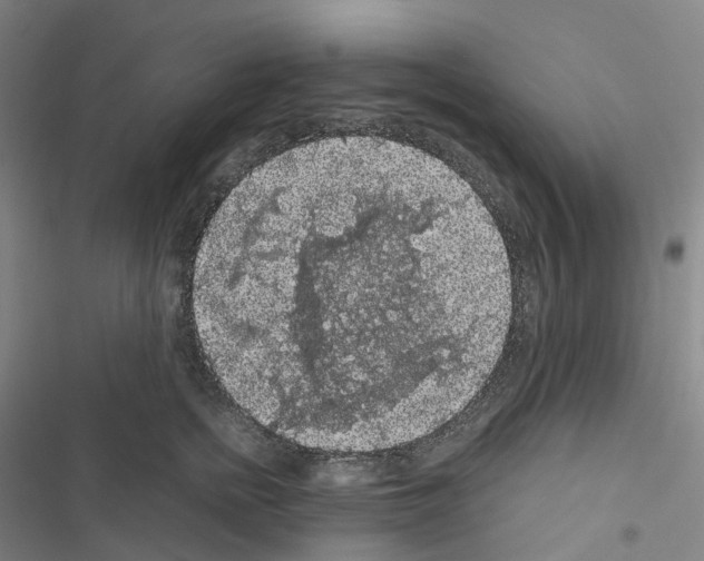 X0000116480758201001201342