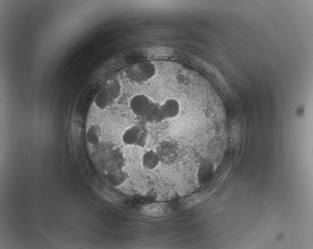 X0000116480761201001201342