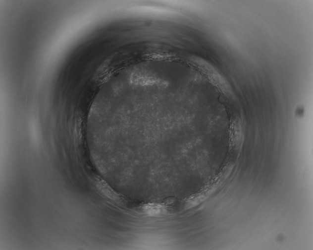 X0000116480762201001201342