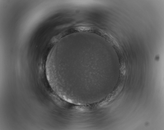 X0000116480763201001201342