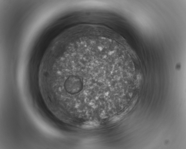 X0000116480765201001201342